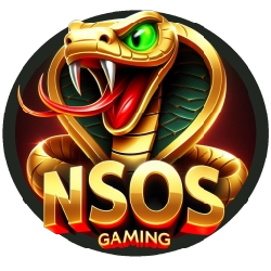 Logo NSOS